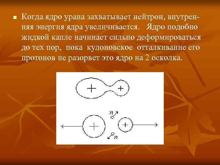 n Когда ядро урана захватывает нейтрон, внутренняя энергия ядра увеличивается. Ядро подобно жидкой капле