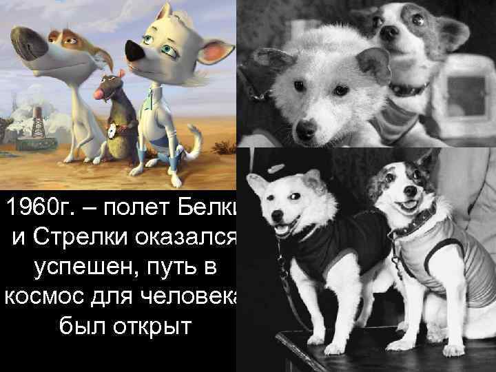 1960 г. – полет Белки и Стрелки оказался успешен, путь в космос для человека