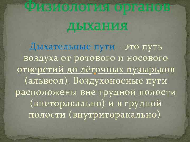 Физиология органов дыхания Дыхательные пути - это путь воздуха от ротового и носового отверстий