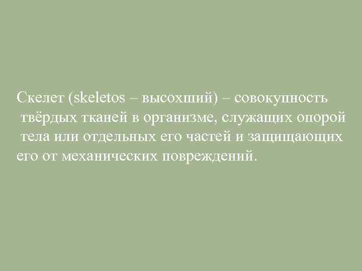 Скелет (skeletos – высохший) – совокупность твёрдых тканей в организме, служащих опорой тела или