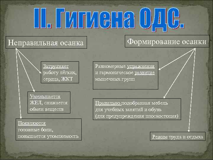 Неправильная осанка Затрудняет работу лёгких, сердца, ЖКТ Уменьшается ЖЕЛ, снижается обмен веществ Появляются головные