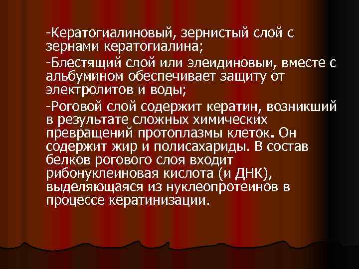 -Кератогиалиновый, зернистый слой с зернами кератогиалина; -Блестящий слой или элеидиновыи, вместе с альбумином обеспечивает