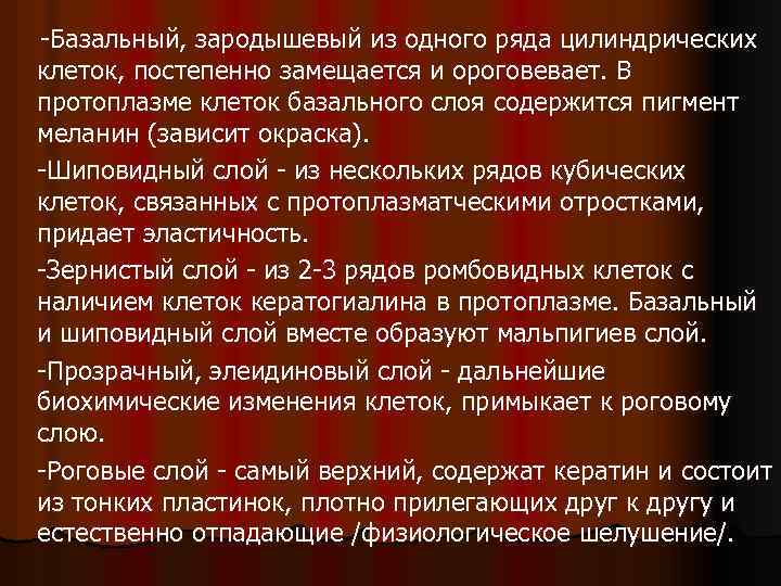 -Базальный, зародышевый из одного ряда цилиндрических клеток, постепенно замещается и ороговевает. В протоплазме клеток