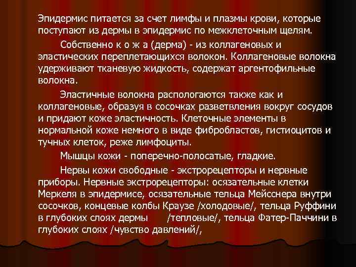 Эпидермис питается за счет лимфы и плазмы крови, которые поступают из дермы в эпидермис