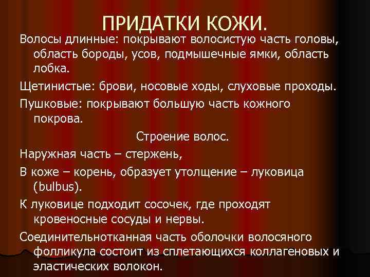 ПРИДАТКИ КОЖИ. Волосы длинные: покрывают волосистую часть головы, область бороды, усов, подмышечные ямки, область