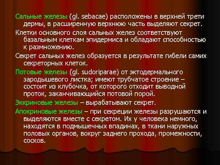 Сальные железы (gl. sebacae) расположены в верхней трети дермы, в расширенную верхнюю часть выделяют