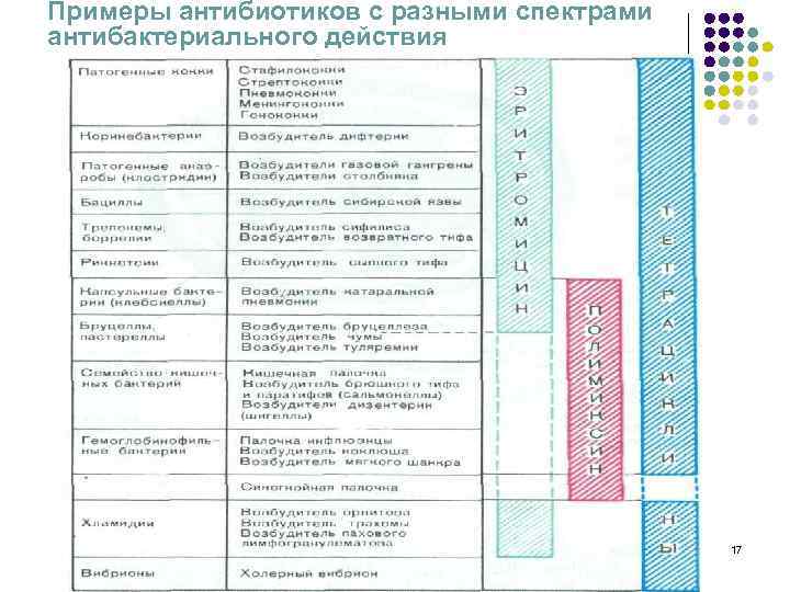 Примеры антибиотиков с разными спектрами антибактериального действия 17 