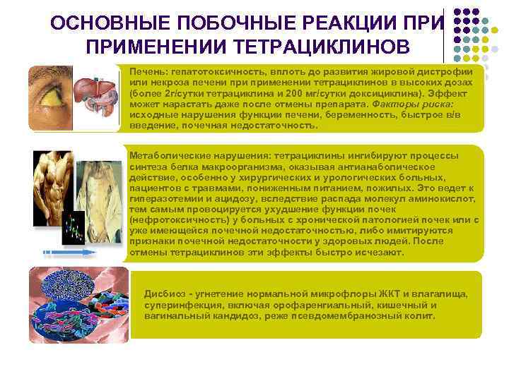 ОСНОВНЫЕ ПОБОЧНЫЕ РЕАКЦИИ ПРИМЕНЕНИИ ТЕТРАЦИКЛИНОВ Печень: гепатотоксичность, вплоть до развития жировой дистрофии или некроза