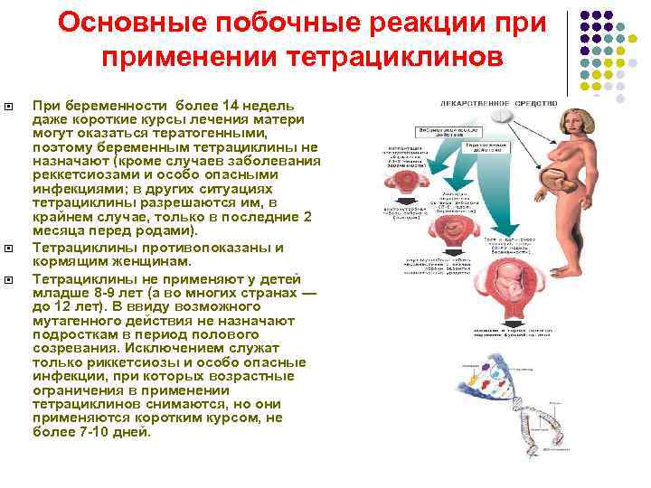 Основные побочные реакции применении тетрациклинов При беременности более 14 недель даже короткие курсы лечения