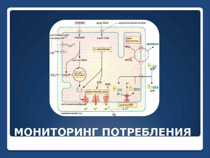 МОНИТОРИНГ ПОТРЕБЛЕНИЯ 