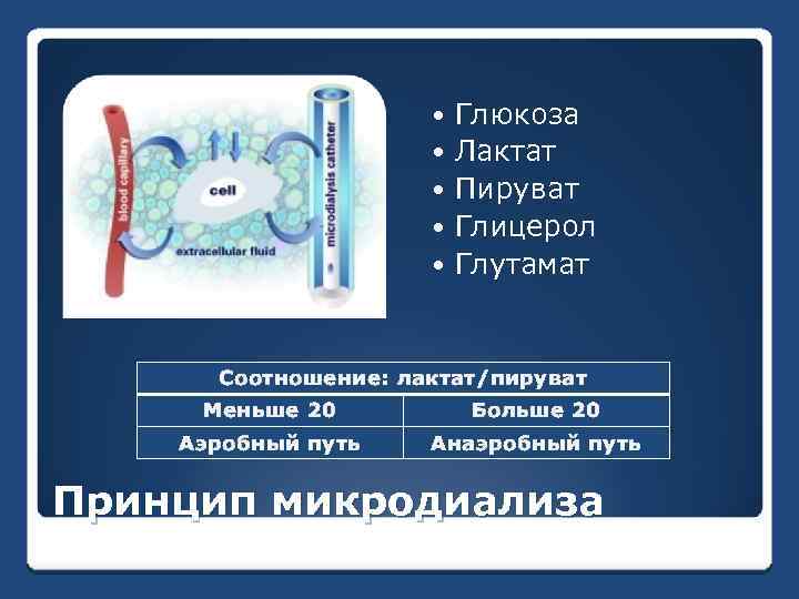  Глюкоза Лактат Пируват Глицерол Глутамат Соотношение: лактат/пируват Меньше 20 Больше 20 Аэробный путь