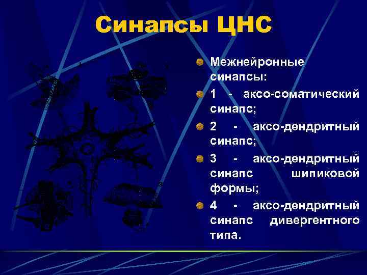 Синапсы ЦНС Межнейронные синапсы: 1 - аксо-соматический синапс; 2 - аксо-дендритный синапс; 3 -
