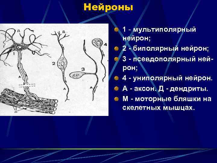 Отличие лансера от эволюшена