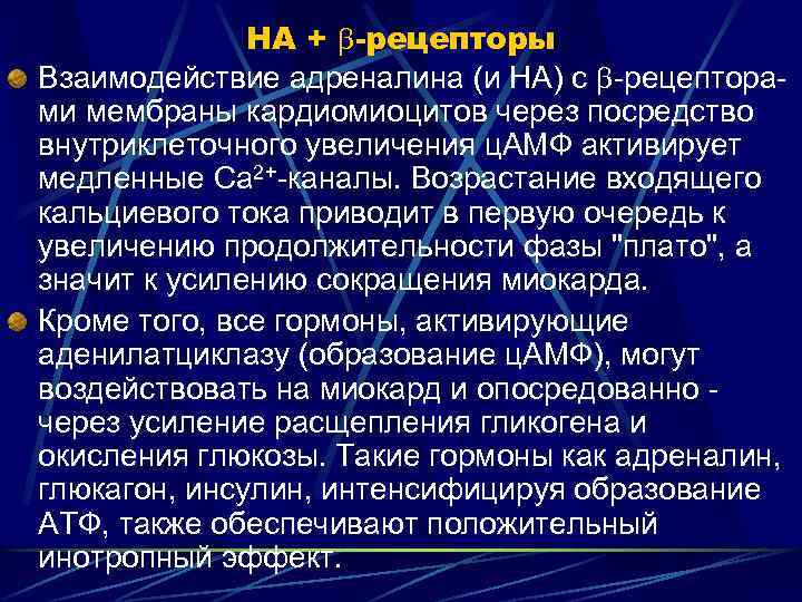 НА + -рецепторы Взаимодействие адреналина (и НА) с -рецепторами мембраны кардиомиоцитов через посредство внутриклеточного