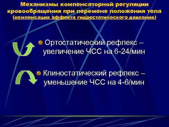 Механизмы компенсаторной регуляции кровообращения при перемене положения тела (компенсация эффекта гидростатического давления) Ортостатический рефлекс