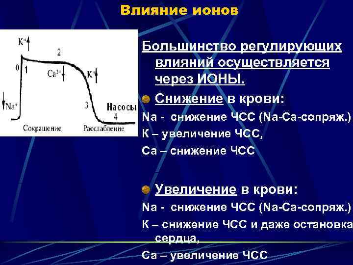 Влияние ионов Большинство регулирующих влияний осуществляется через ИОНЫ. Снижение в крови: Na - снижение