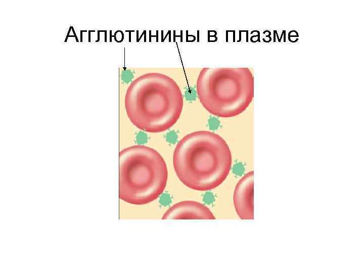 Агглютинины в плазме 