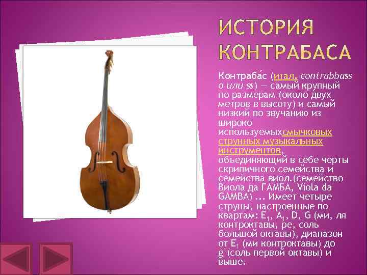 Контраба с (итал. contrabbass o или ss) — самый крупный по размерам (около двух