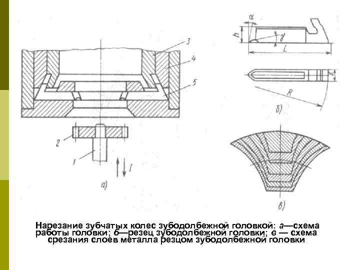 Нарезание зубчатых колес зубодолбежной головкой: а—схема работы головки; б—резец зубодолбежной головки; в — схема