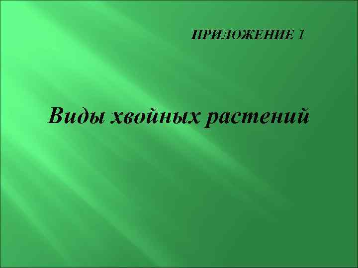 ПРИЛОЖЕНИЕ 1 Виды хвойных растений 