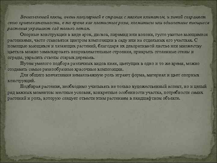 Вечнозеленый плющ, очень популярный в странах с мягким климатом, и зимой сохраняет свою привлекательность,