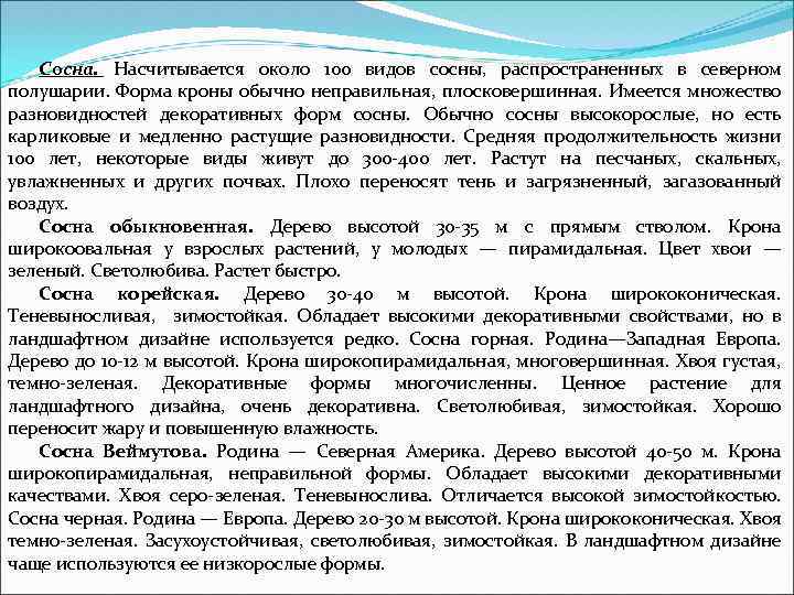 Сосна. Насчитывается около 100 видов сосны, распространенных в северном полушарии. Форма кроны обычно неправильная,