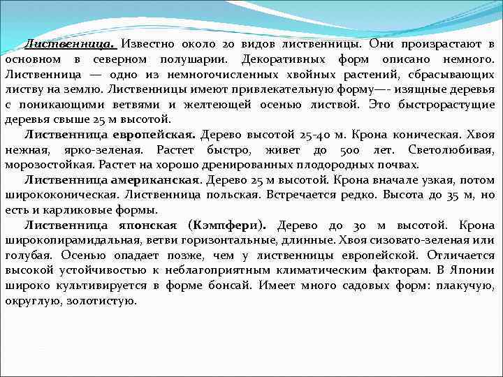 Лиственница. Известно около 20 видов лиственницы. Они произрастают в основном в северном полушарии. Декоративных