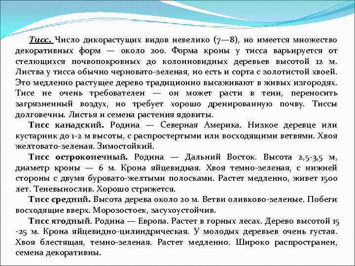 Тисс. Число дикорастущих видов невелико (7— 8), но имеется множество декоративных форм — около