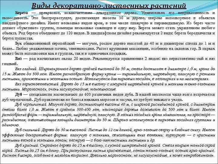 Виды декоративно-лиственных растений Береза — прекрасное, исключительно декоративное дерево. Удивительна его неприхотливость и выносливость.