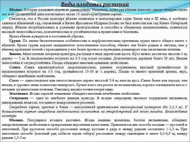 Виды плодовых растений Яблоня. История плодовых деревьев удивительна. Например, культура яблони известна свыше четырех