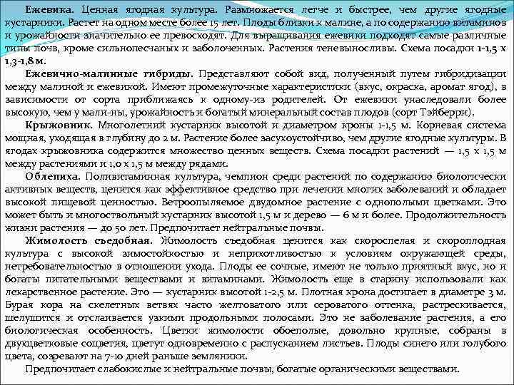 Ежевика. Ценная ягодная культура. Размножается легче и быстрее, чем другие ягодные кустарники. Растет на