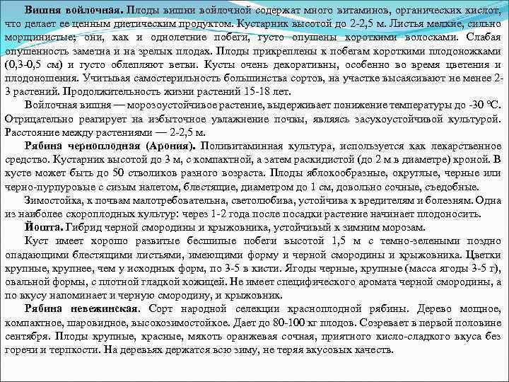Вишня войлочная. Плоды вишни войлочной содержат много витаминов, органических кислот, что делает ее ценным