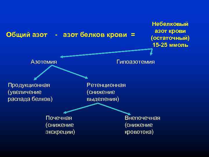 Общий азот - азот белков крови = Азотемия Продукционная (увеличение распада белков) Почечная (снижение