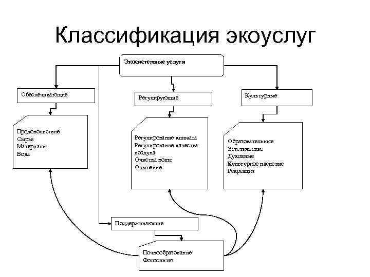 Классификация экоуслуг Экосистемные услуги Обеспечивающие Продовольствие Сырье Материалы Вода Регулирующие Регулирование климата Регулирование качества