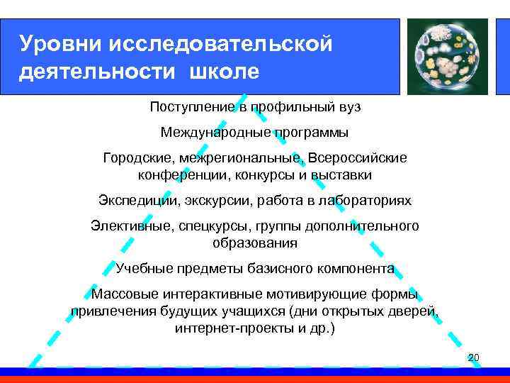 Уровни исследовательской деятельности школе Поступление в профильный вуз Международные программы Городские, межрегиональные, Всероссийские конференции,