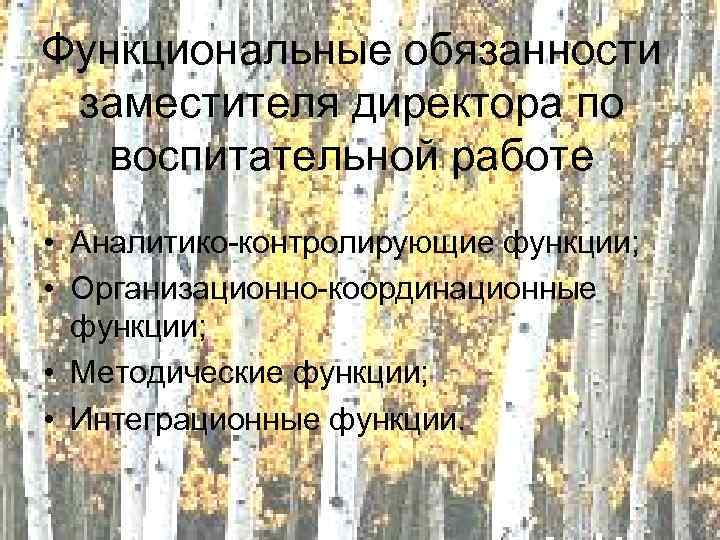 Функциональные обязанности заместителя директора по воспитательной работе • Аналитико-контролирующие функции; • Организационно-координационные функции; •
