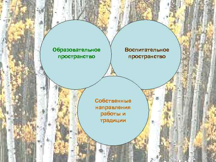 Образовательное пространство Воспитательное пространство Собственные направления работы и традиции 