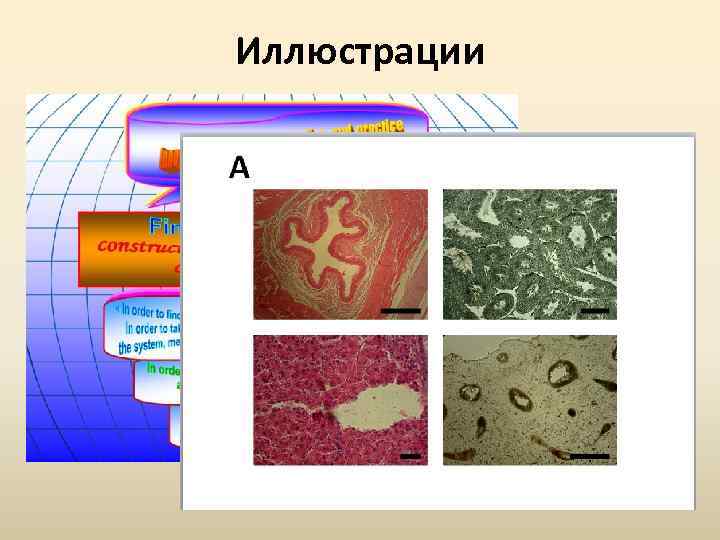 Иллюстрации 