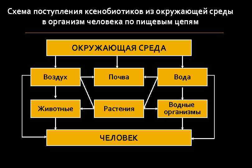 Ксенобиотики картинки для презентации