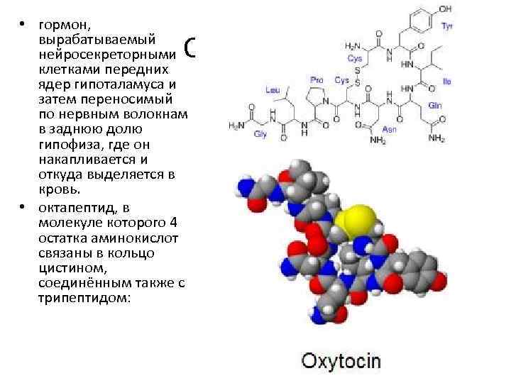  • гормон, вырабатываемый нейросекреторными клетками передних ядер гипоталамуса и затем переносимый по нервным