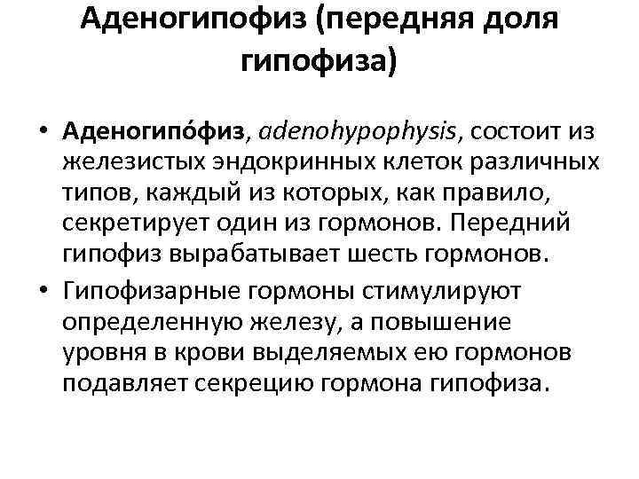 Аденогипофиз (передняя доля гипофиза) • Аденогипо физ, adenohypophysis, состоит из железистых эндокринных клеток различных