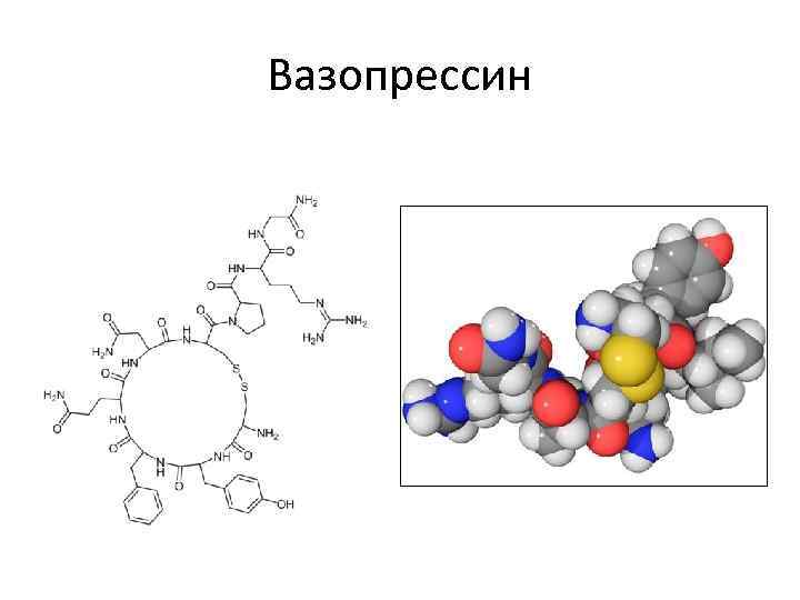 Вазопрессин 