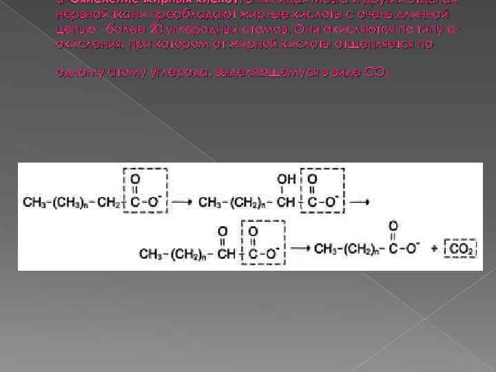 α-Окисление жирных кислот. В липидах мозга и других отделах нервной ткани преобладают жирные кислоты