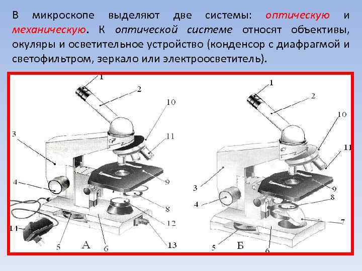 В микроскопе выделяют две системы: оптическую и механическую. К оптической системе относят объективы, окуляры