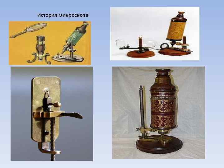 История микроскопа 