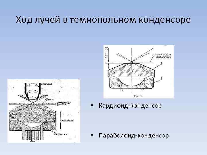 Ход лучей в темнопольном конденсоре • Кардиоид-конденсор • Параболоид-конденсор 