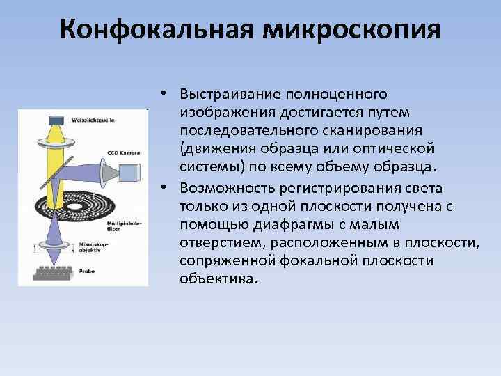 Конфокальная микроскопия • Выстраивание полноценного изображения достигается путем последовательного сканирования (движения образца или оптической