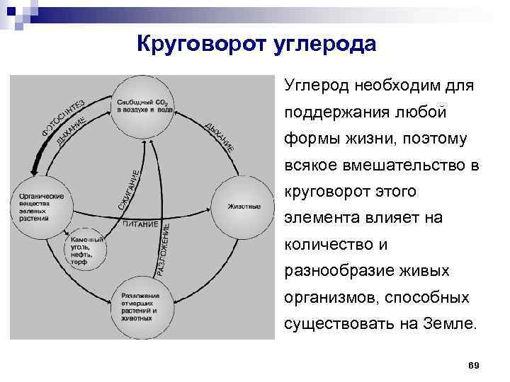 Круговорот углерода Углерод необходим для поддержания любой формы жизни, поэтому всякое вмешательство в круговорот