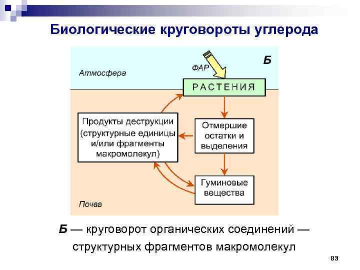 Презентация состоит из слайдов информационные объекты на расположены на выбранный фон