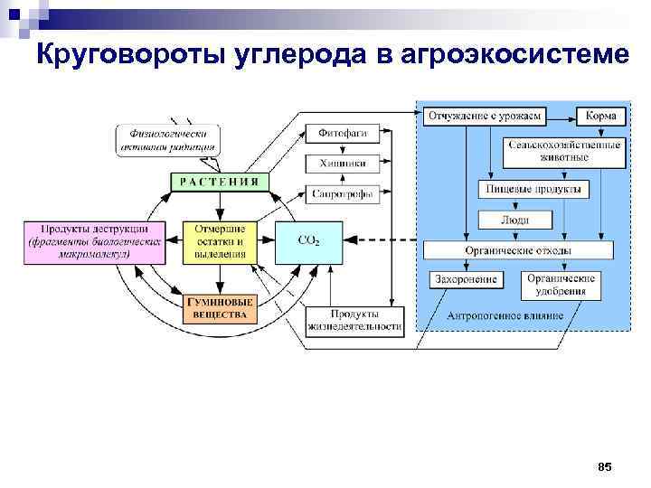 Глобальный круговорот углерода